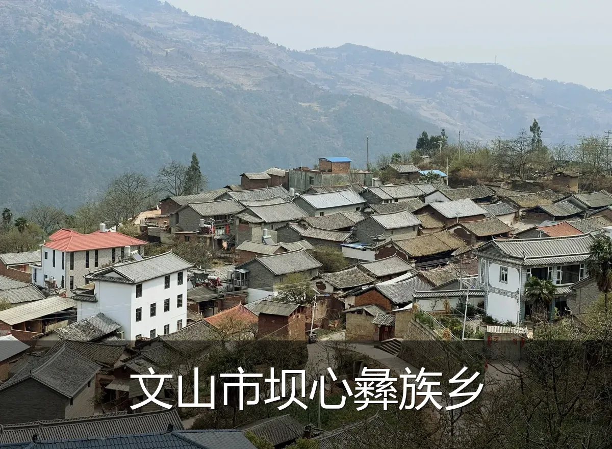 文山市坝心彝族乡