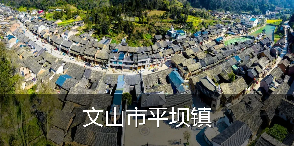 文山市平坝镇