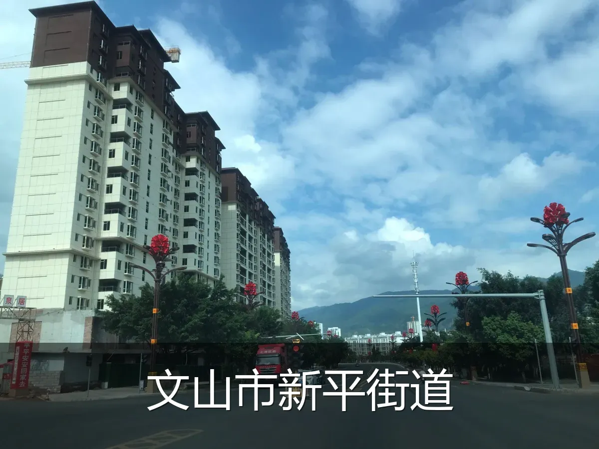 文山市新平街道