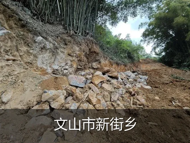 文山市新街乡