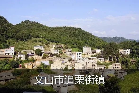 文山市追栗街镇